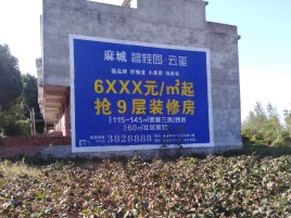 赣州品牌公司青睐的墙体广告